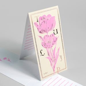 Tulip